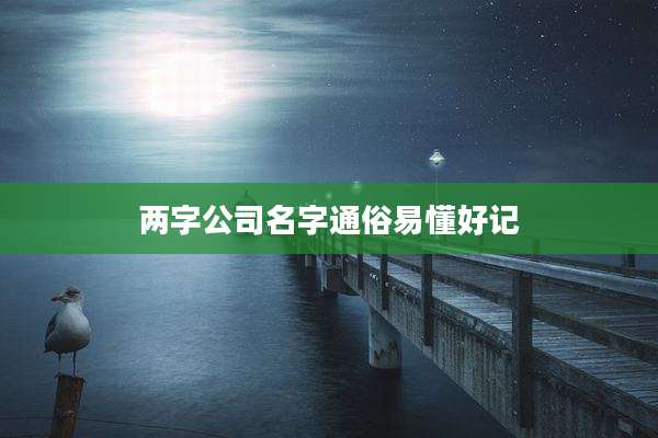 两字公司名字通俗易懂好记