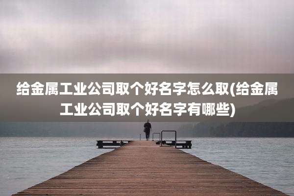 给金属工业公司取个好名字怎么取(给金属工业公司取个好名字有哪些)
