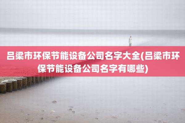 吕梁市环保节能设备公司名字大全(吕梁市环保节能设备公司名字有哪些)