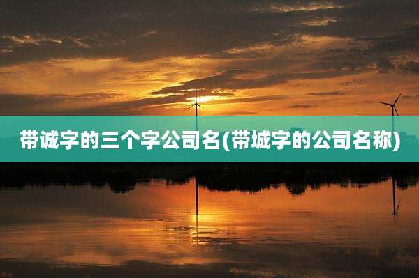 带诚字的三个字公司名(带城字的公司名称)