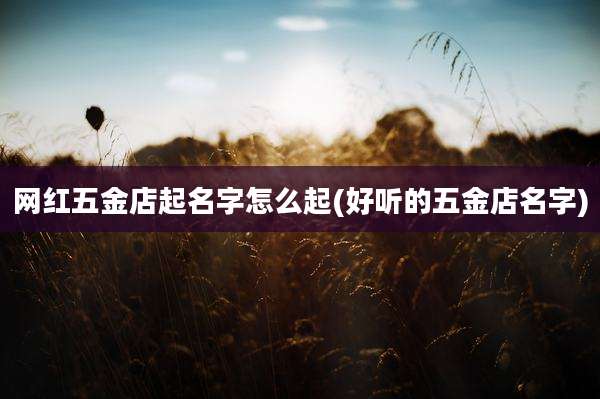 网红五金店起名字怎么起(好听的五金店名字)