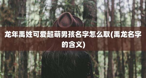 龙年禹姓可爱超萌男孩名字怎么取(禹龙名字的含义)