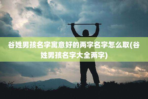 谷姓男孩名字寓意好的两字名字怎么取(谷姓男孩名字大全两字)