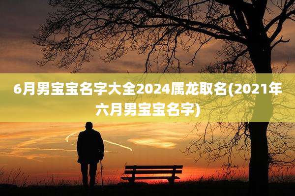 6月男宝宝名字大全2024属龙取名(2021年六月男宝宝名字)