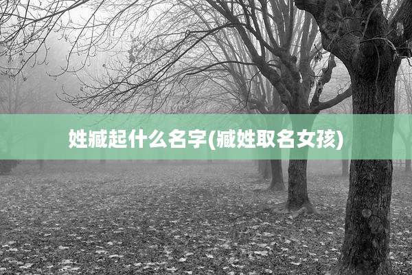 姓臧起什么名字(臧姓取名女孩)