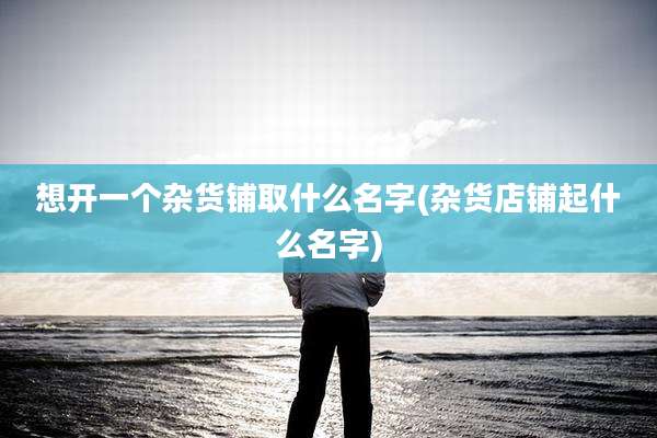 想开一个杂货铺取什么名字(杂货店铺起什么名字)