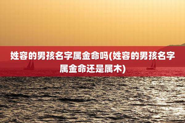 姓容的男孩名字属金命吗(姓容的男孩名字属金命还是属木)