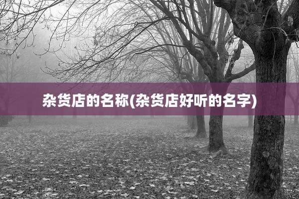 杂货店的名称(杂货店好听的名字)