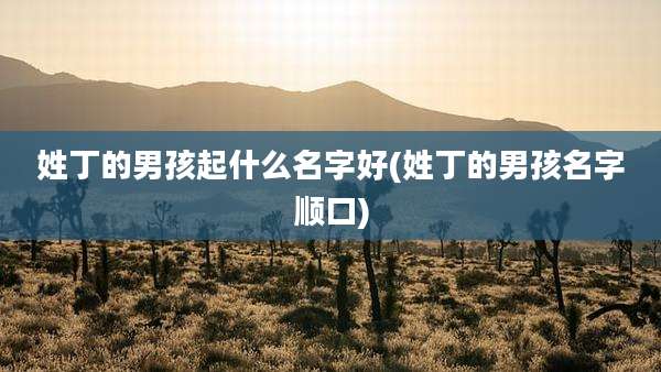 姓丁的男孩起什么名字好(姓丁的男孩名字顺口)