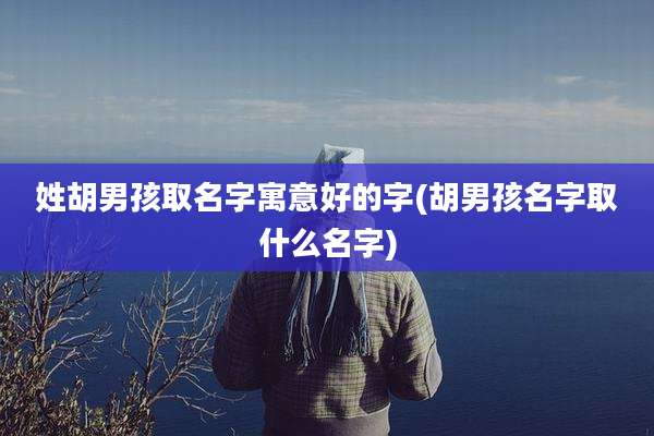 姓胡男孩取名字寓意好的字(胡男孩名字取什么名字)