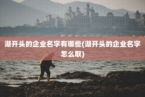 湖开头的企业名字有哪些(湖开头的企业名字怎么取)