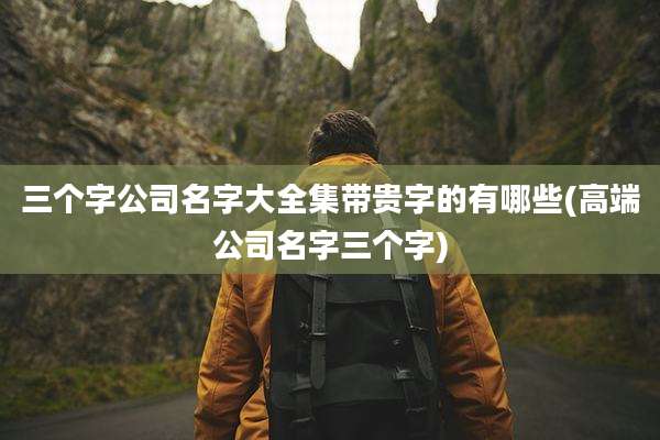 三个字公司名字大全集带贵字的有哪些(高端公司名字三个字)