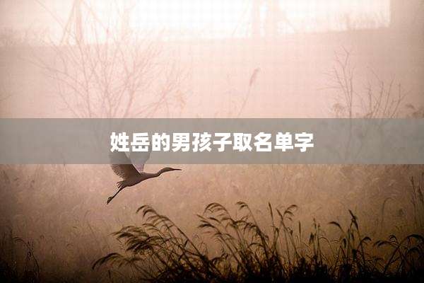 姓岳的男孩子取名单字
