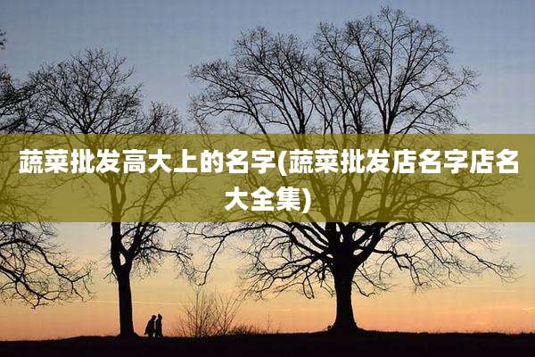 蔬菜批发高大上的名字(蔬菜批发店名字店名大全集)