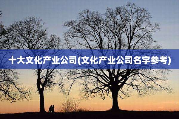 十大文化产业公司(文化产业公司名字参考)