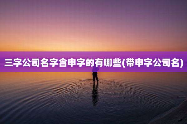 三字公司名字含申字的有哪些(带申字公司名)