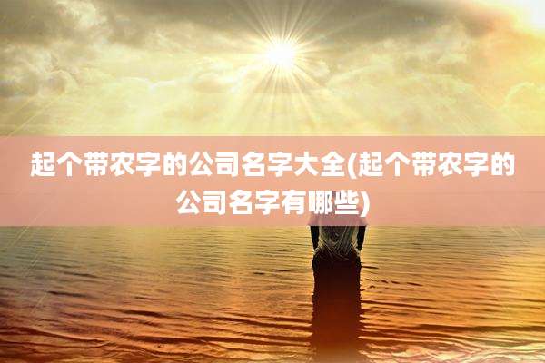 起个带农字的公司名字大全(起个带农字的公司名字有哪些)
