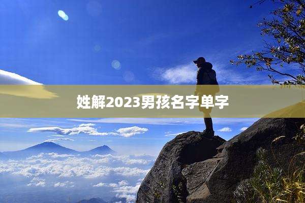 姓解2023男孩名字单字
