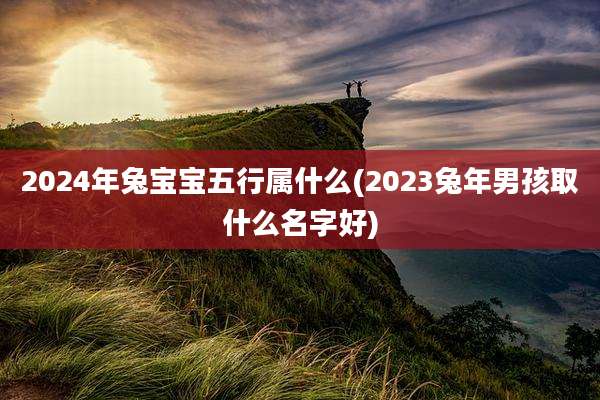 2024年兔宝宝五行属什么(2023兔年男孩取什么名字好)