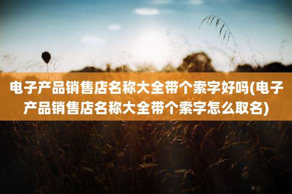 电子产品销售店名称大全带个索字好吗(电子产品销售店名称大全带个索字怎么取名)