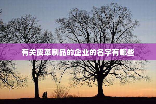 有关皮革制品的企业的名字有哪些