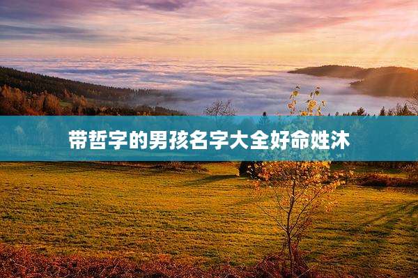 带哲字的男孩名字大全好命姓沐