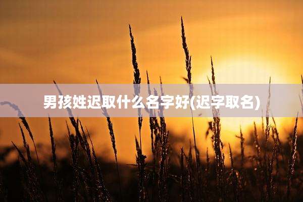 男孩姓迟取什么名字好(迟字取名)