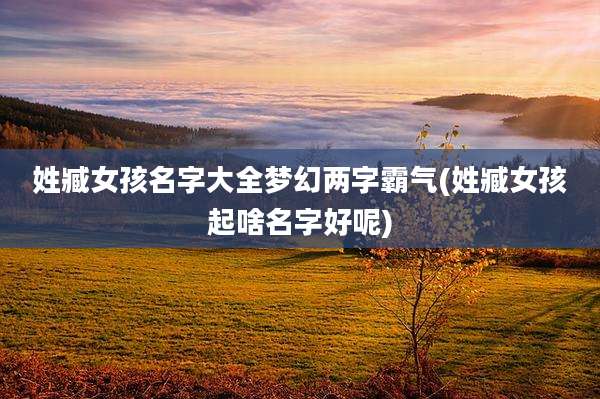 姓臧女孩名字大全梦幻两字霸气(姓臧女孩起啥名字好呢)