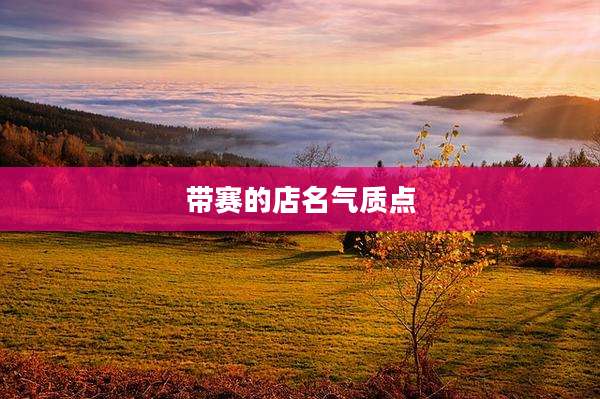 带赛的店名气质点