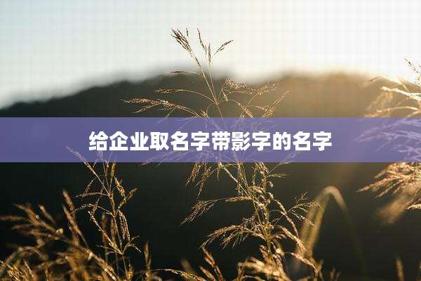 给企业取名字带影字的名字