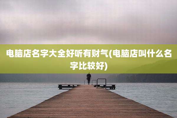 电脑店名字大全好听有财气(电脑店叫什么名字比较好)