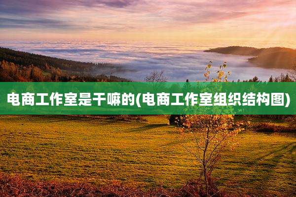 电商工作室是干嘛的(电商工作室组织结构图)