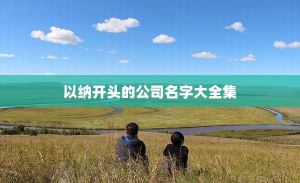 以纳开头的公司名字大全集