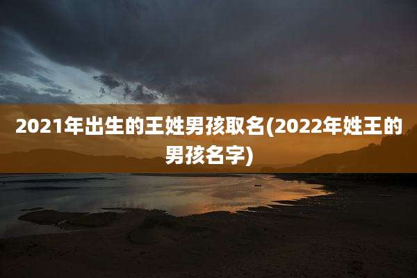 2021年出生的王姓男孩取名(2022年姓王的男孩名字)