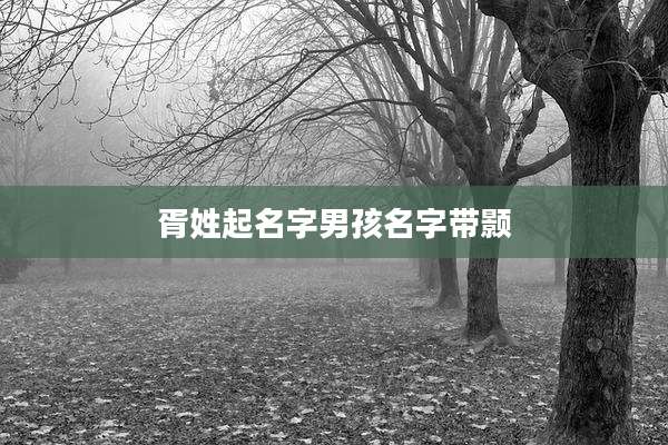 胥姓起名字男孩名字带颢