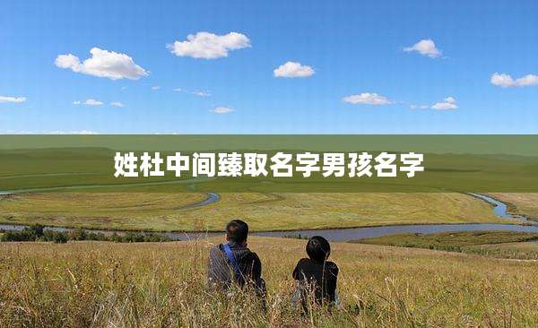 姓杜中间臻取名字男孩名字