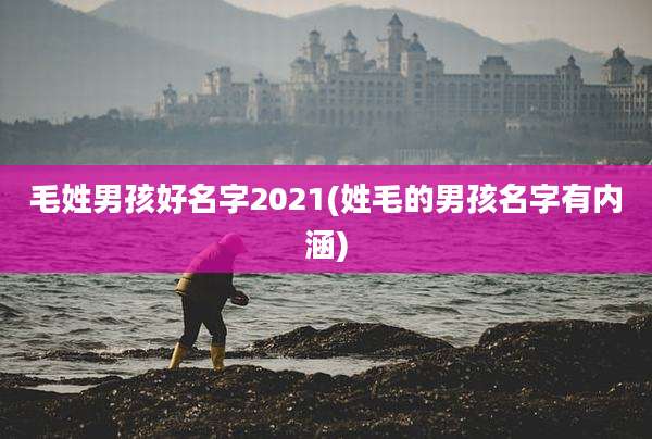 毛姓男孩好名字2021(姓毛的男孩名字有内涵)