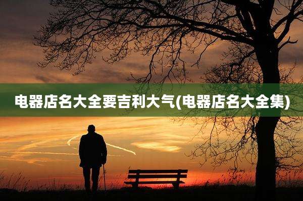电器店名大全要吉利大气(电器店名大全集)