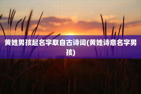 黄姓男孩起名字取自古诗词(黄姓诗意名字男孩)