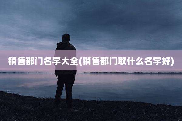 销售部门名字大全(销售部门取什么名字好)