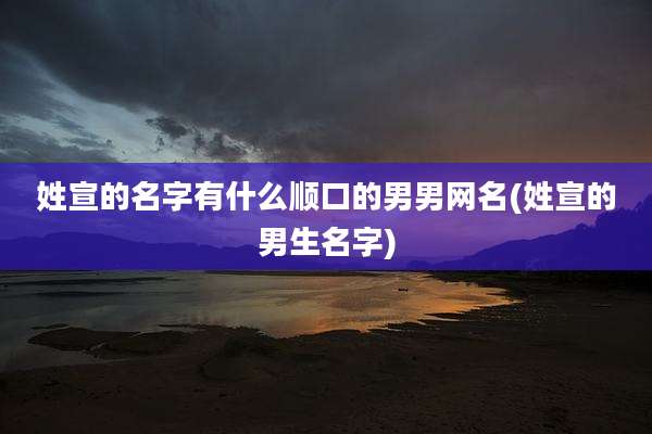 姓宣的名字有什么顺口的男男网名(姓宣的男生名字)