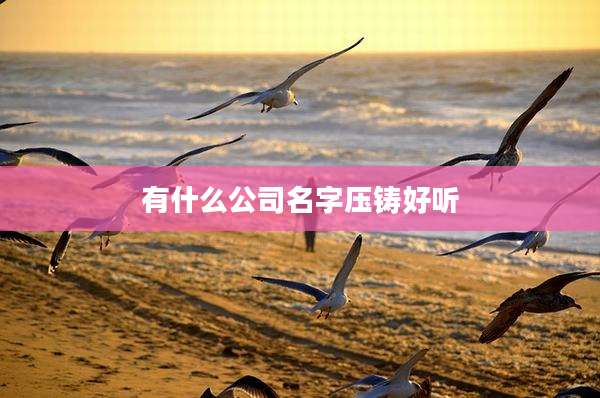 有什么公司名字压铸好听