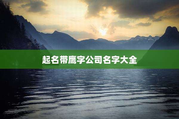 起名带鹰字公司名字大全