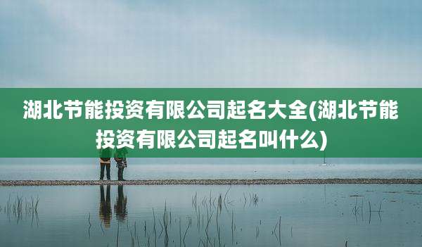 湖北节能投资有限公司起名大全(湖北节能投资有限公司起名叫什么)