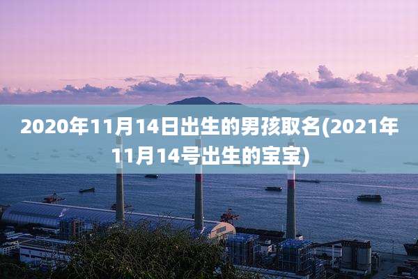 2020年11月14日出生的男孩取名(2021年11月14号出生的宝宝)