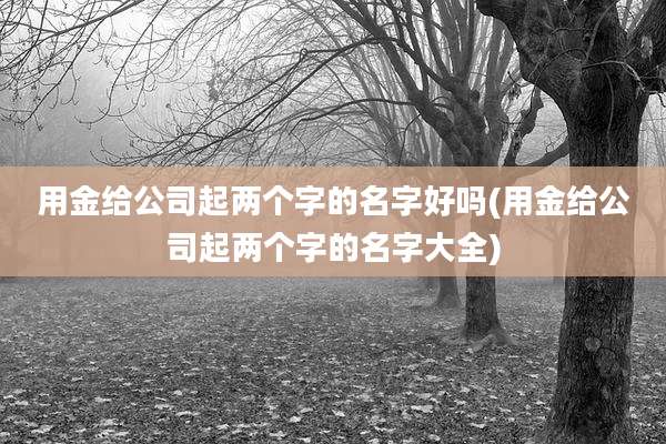用金给公司起两个字的名字好吗(用金给公司起两个字的名字大全)