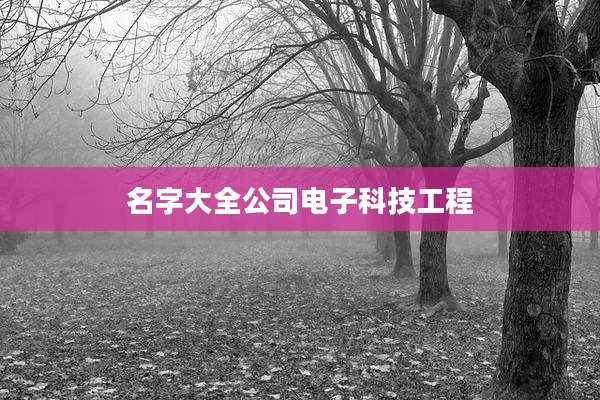 名字大全公司电子科技工程