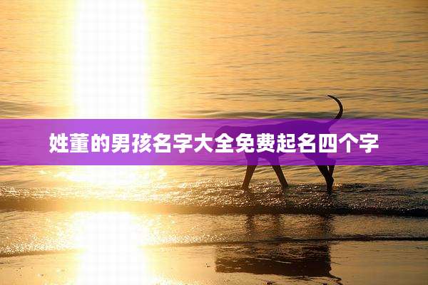 姓董的男孩名字大全免费起名四个字