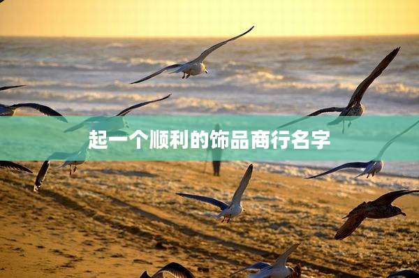 起一个顺利的饰品商行名字