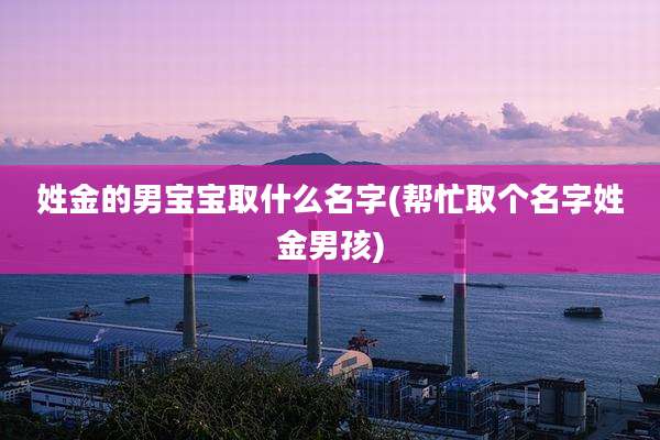 姓金的男宝宝取什么名字(帮忙取个名字姓金男孩)